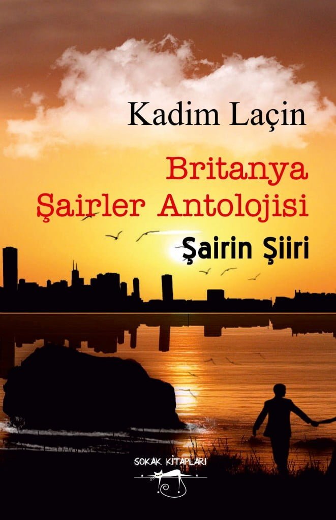 şairin şiiri kapak