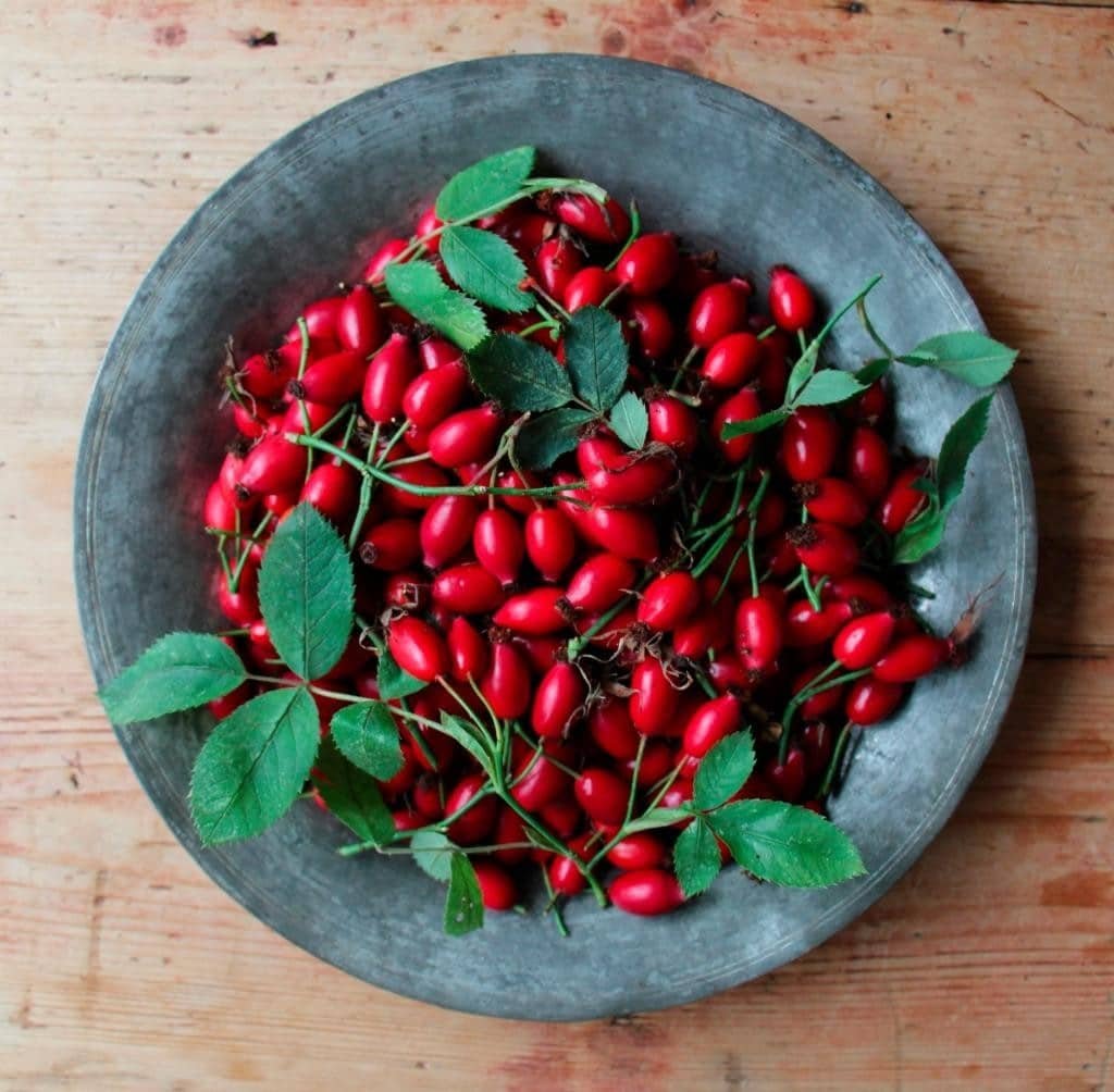 Rîçala Şilanan- Kuşburnu Reçeli 2