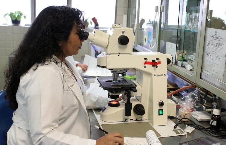 Oxford Üniversitesi, Covid-19 aşı çalışmasında ikinci faza geçti: 10 bin 260 kişide denenecek Oxford Üniversitesi, Covid-19 aşı çalışmasında ikinci faza geçti: 10 bin 260 kişide denenecek